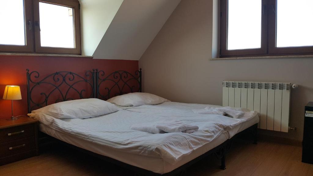 Willa Dzika Róża - 9