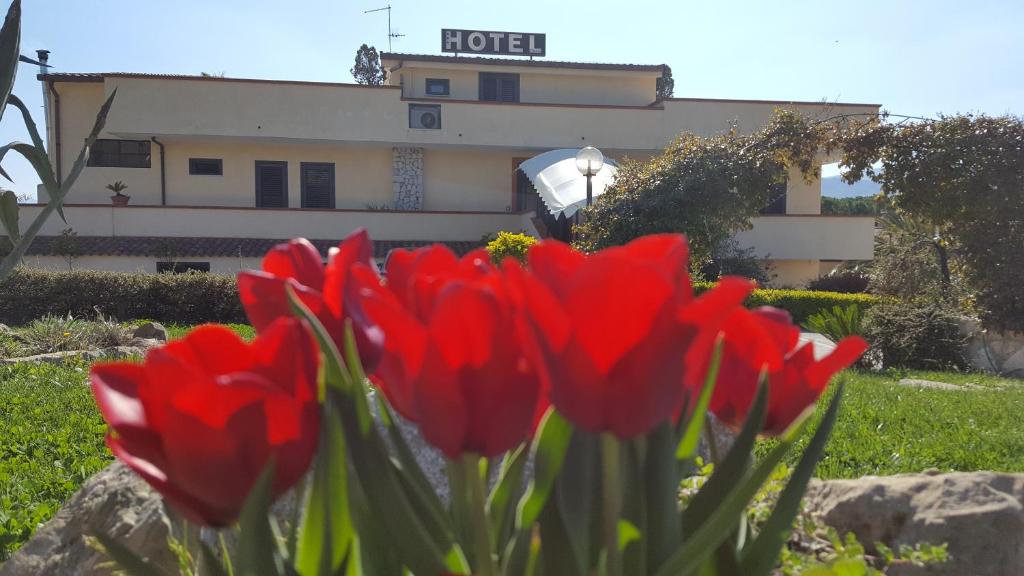Zahrada ubytování Hotel Vittoria