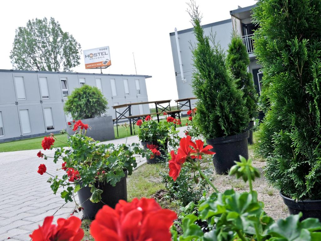 a group of flowers in pots in front of a building at Hostel Września in Września