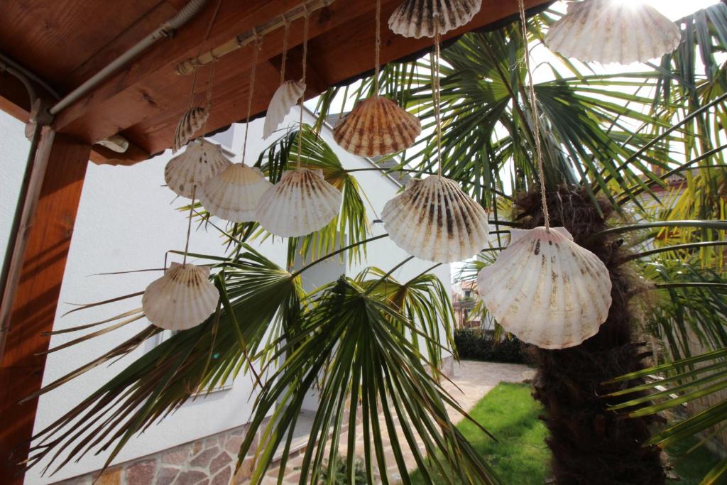 a bunch of shells hanging from a palm tree at Apartment Umag in Umag