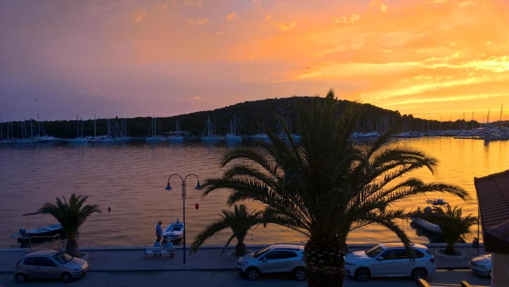 a palm tree in a parking lot near a body of water at Apartman Marina II in Rogoznica