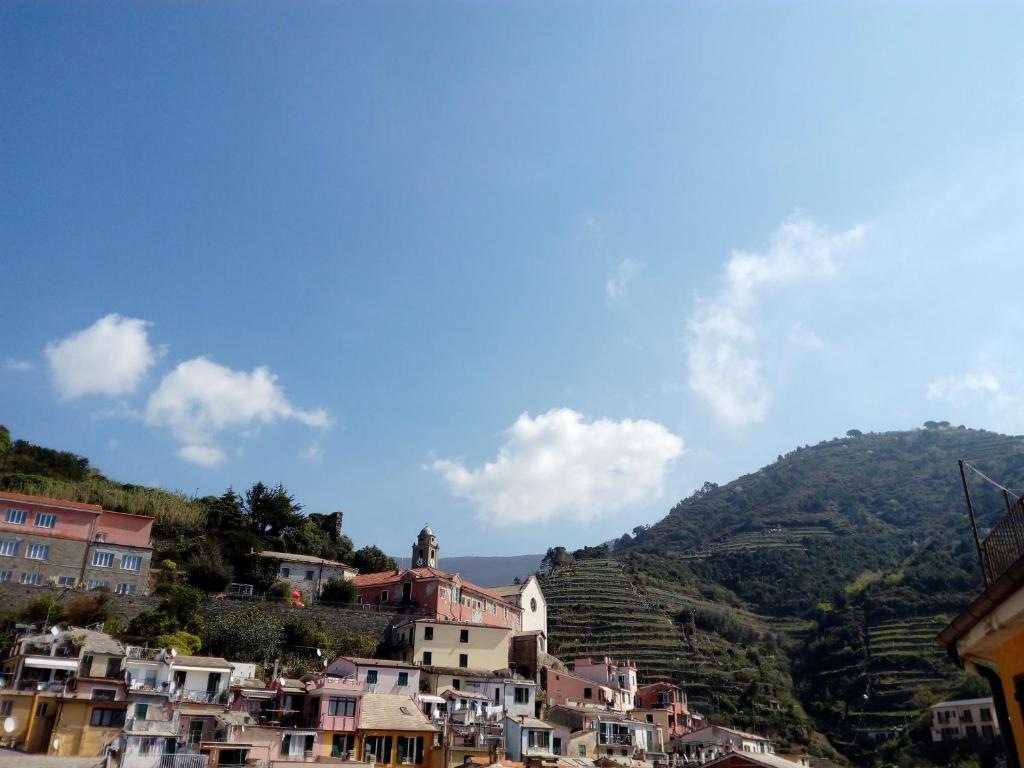 a town on a hill with houses and a mountain at La Scala in Vernazza