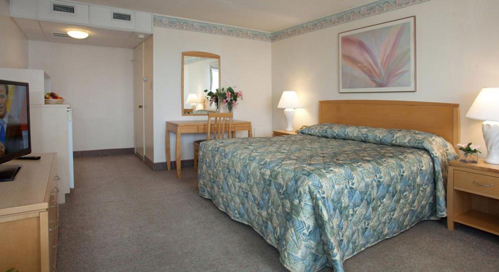 Lotus Inn photo