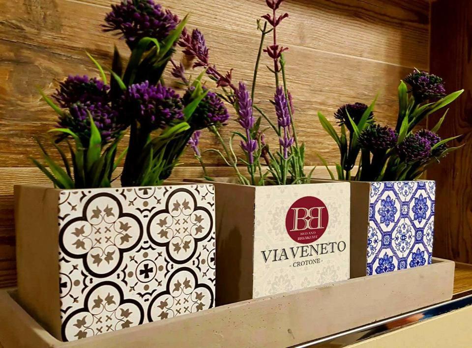 une boîte avec des fleurs violettes sur une étagère dans l'établissement B&B VIA VENETO, à Crotone