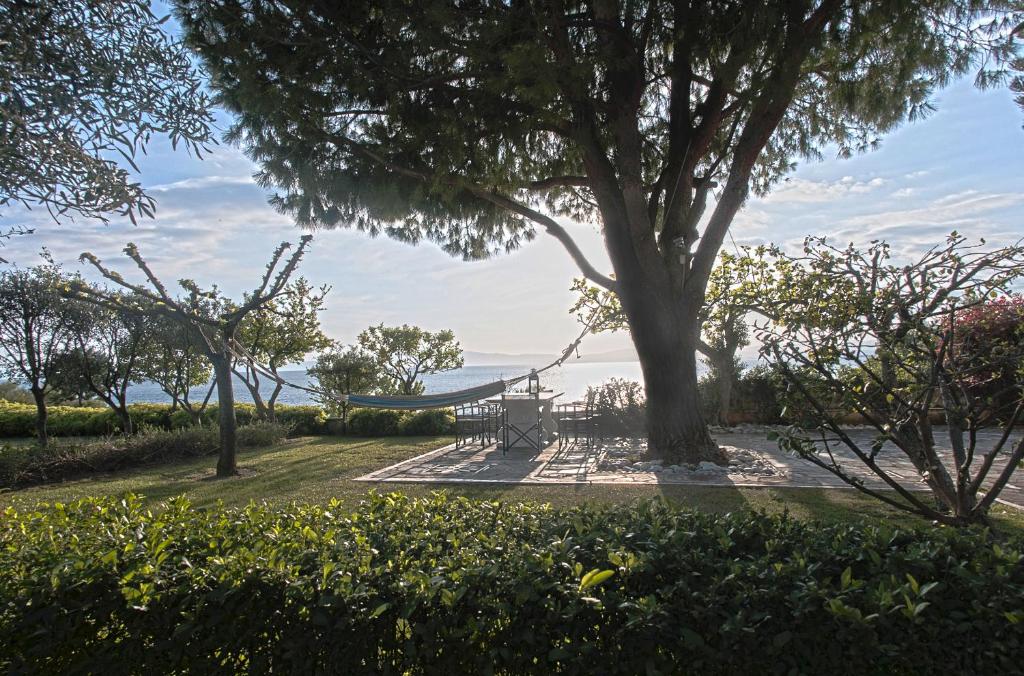 uma mesa de piquenique debaixo de uma árvore num parque em Messinian Blue Seaside Villa em Kalamata