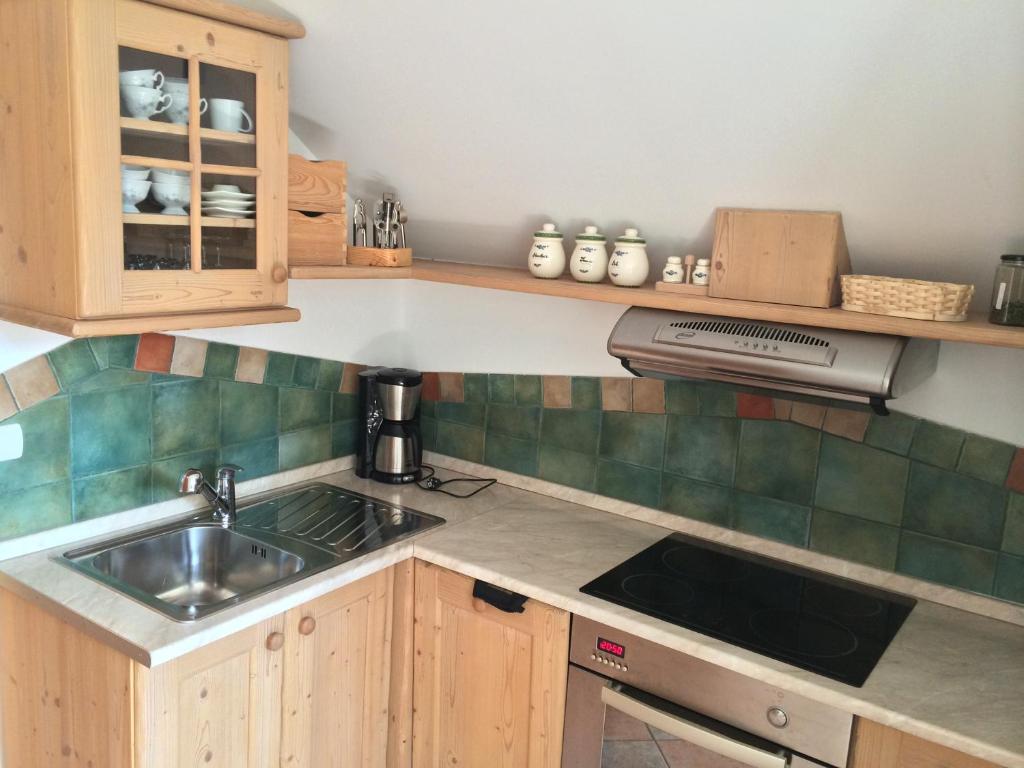 Kuchyň nebo kuchyňský kout v ubytování Apartments Pod macesnovo streho