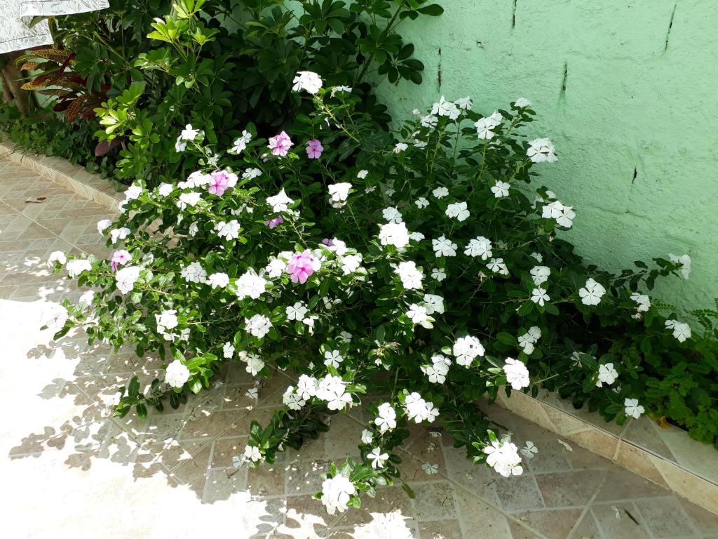  Pousada Canto da Ilha