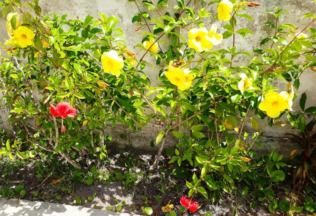  Pousada Canto da Ilha