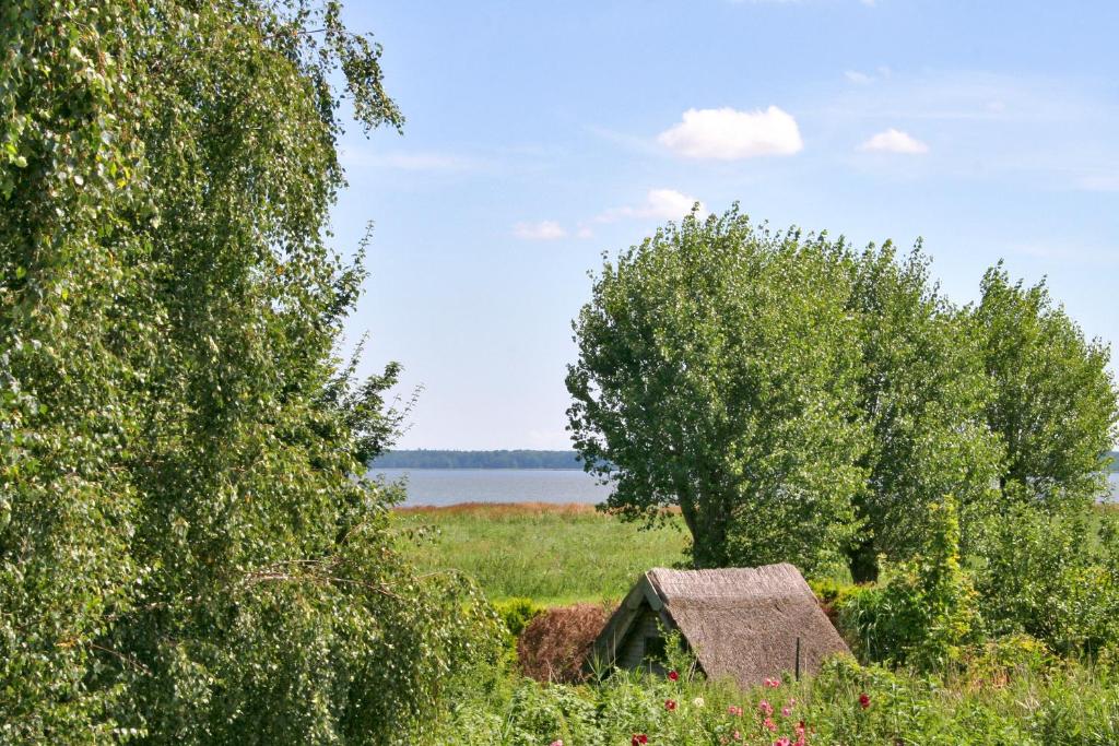 Příroda nedaleko aparthotelu