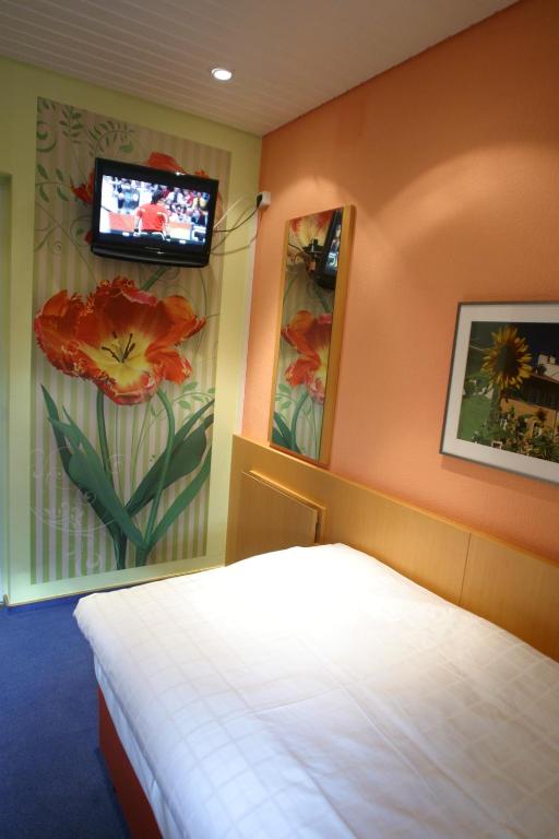Hotel Vivendi - Single Room
