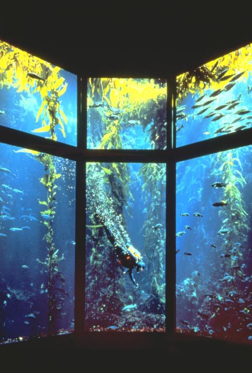 Monterey Bay Inn photo