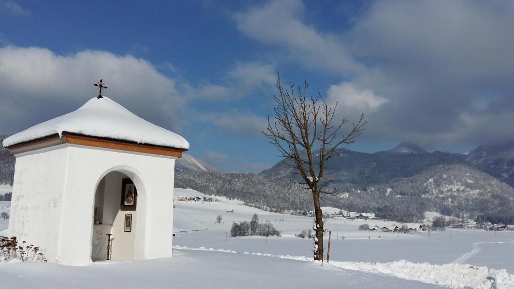 Weinbachbauer - Urlaub am Bauernhof v zimě