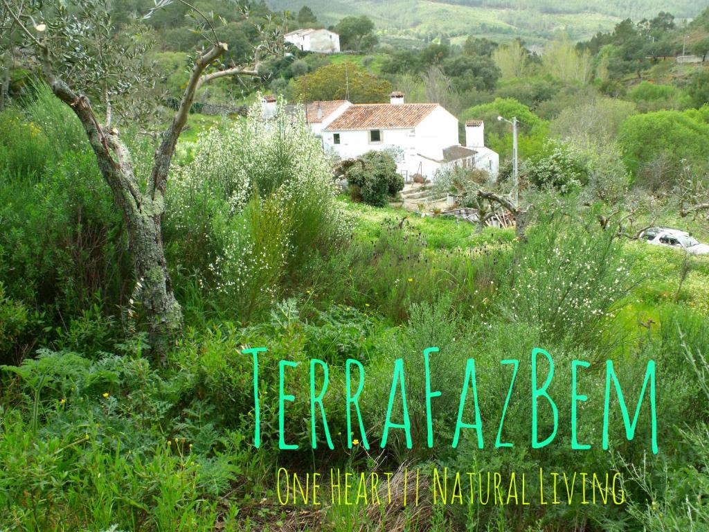 a book cover of a field with a house at TerraFazBem in Marvão