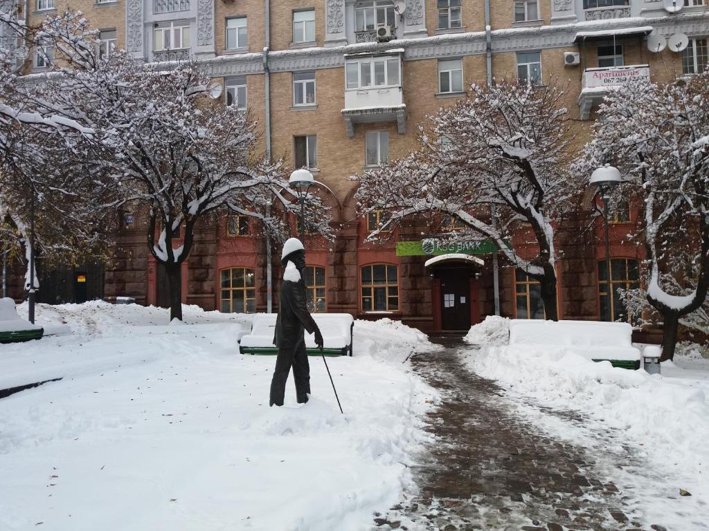 Apartments near Khreshchatyk-Absolut photo 6