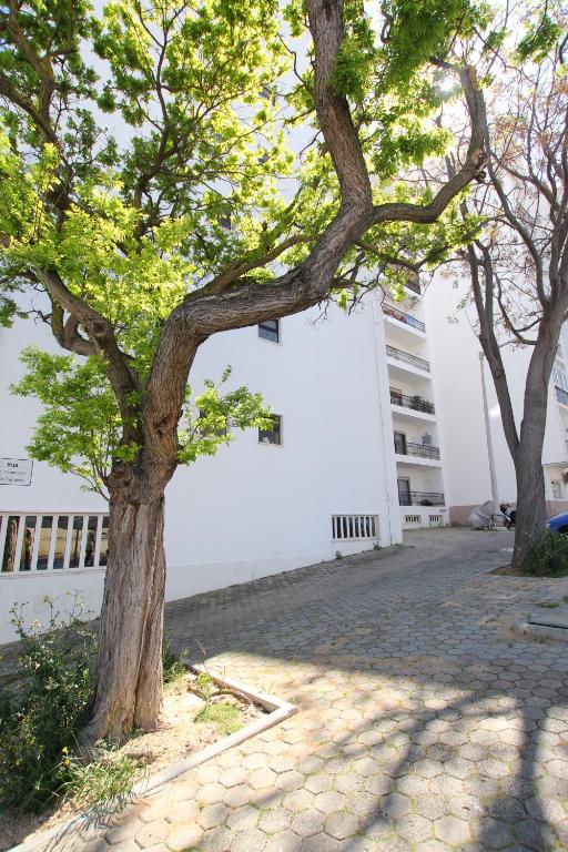 Fotografie z fotogalerie ubytování CASA BELAVISTA - BAÍA v destinaci Lagos