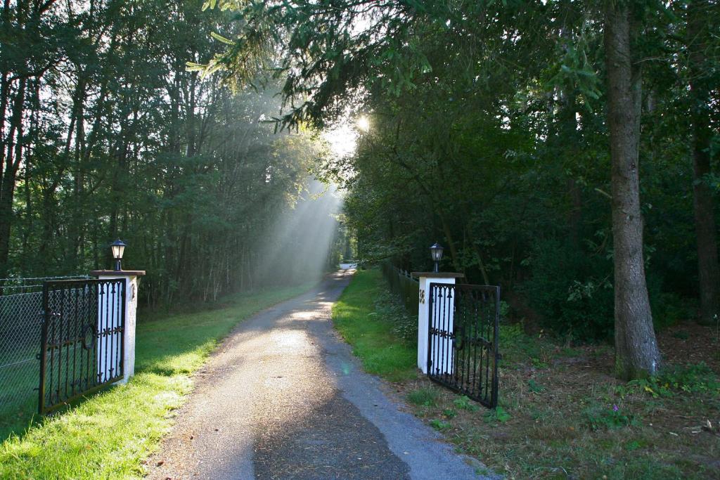 un chemin brumeux avec un portail et des arbres dans l'établissement Ferienhaus Huus ton witten Barg, à Undeloh