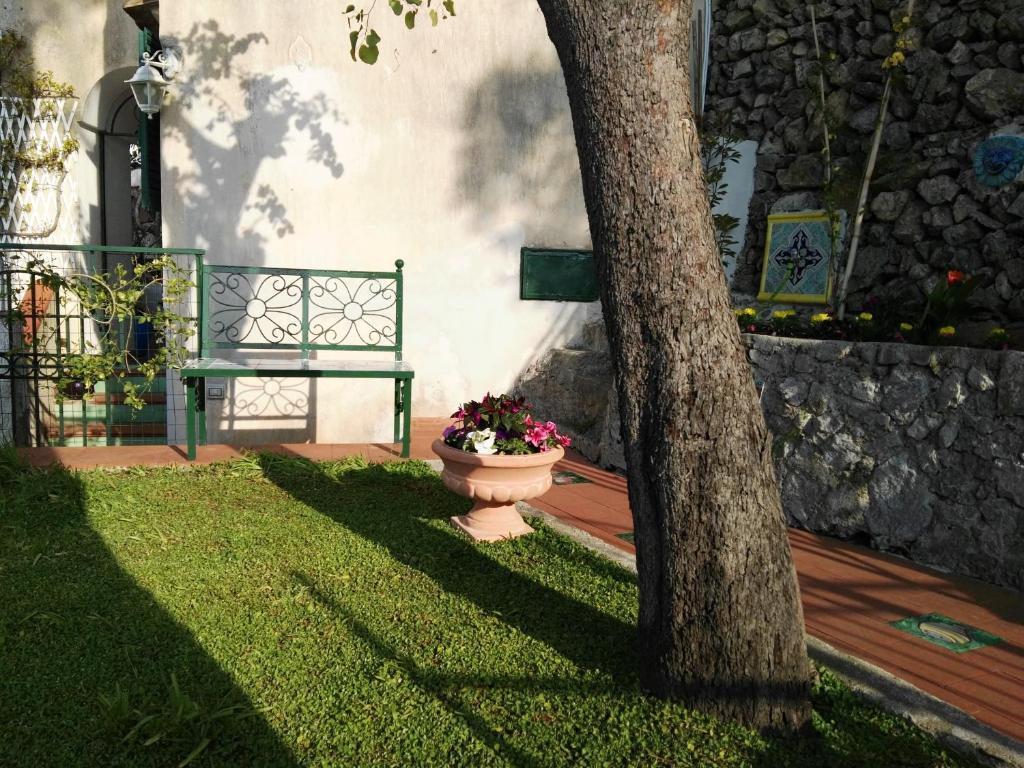 Сад в Casa Vacanze Bouganvillea