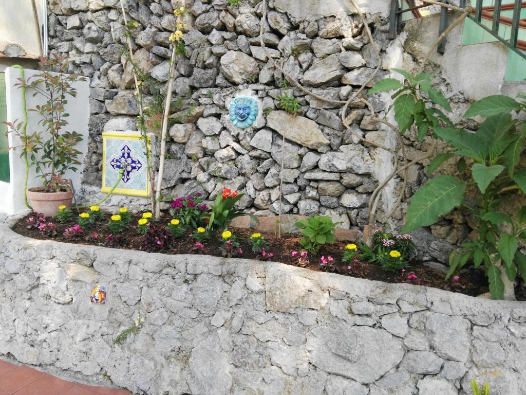Сад в Casa Vacanze Bouganvillea