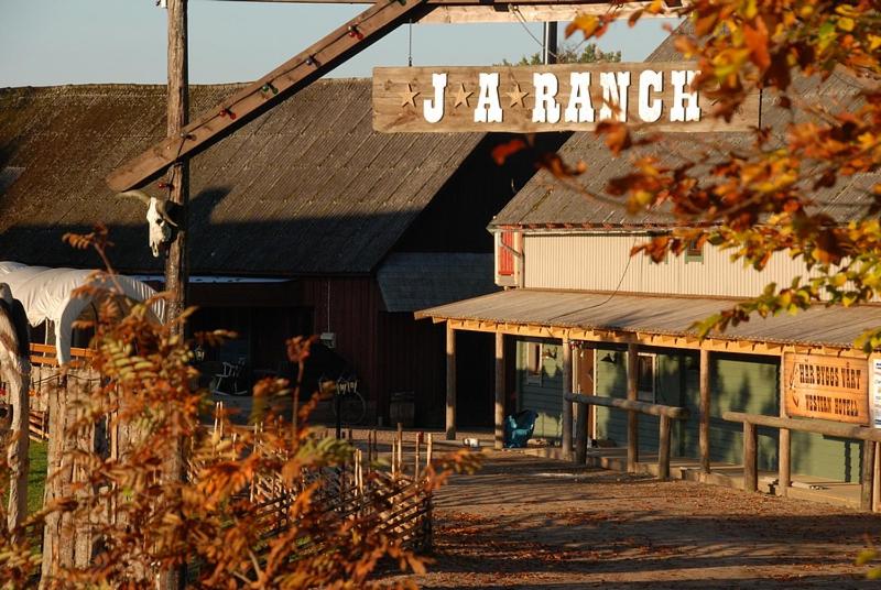 una mucca che si trova di fronte a un edificio con un fienile di J A Ranch Bed & Breakfast a Strömsnäsbruk