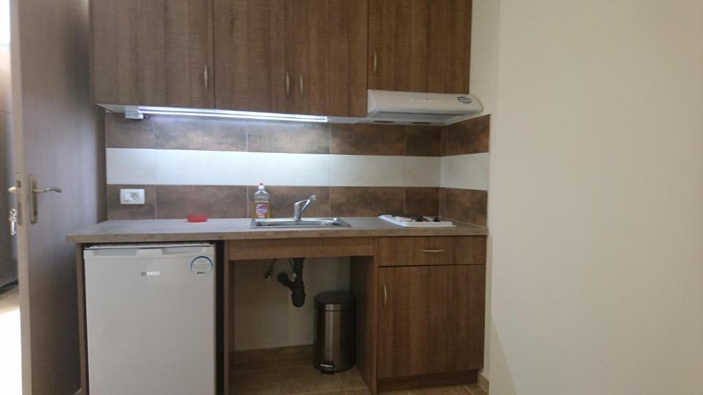 Kuchyň nebo kuchyňský kout v ubytování Coralli Hotel