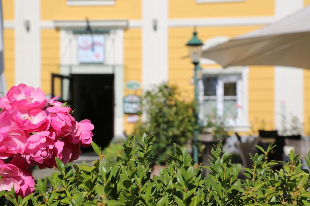Zahrada ubytování Babenbergerhof