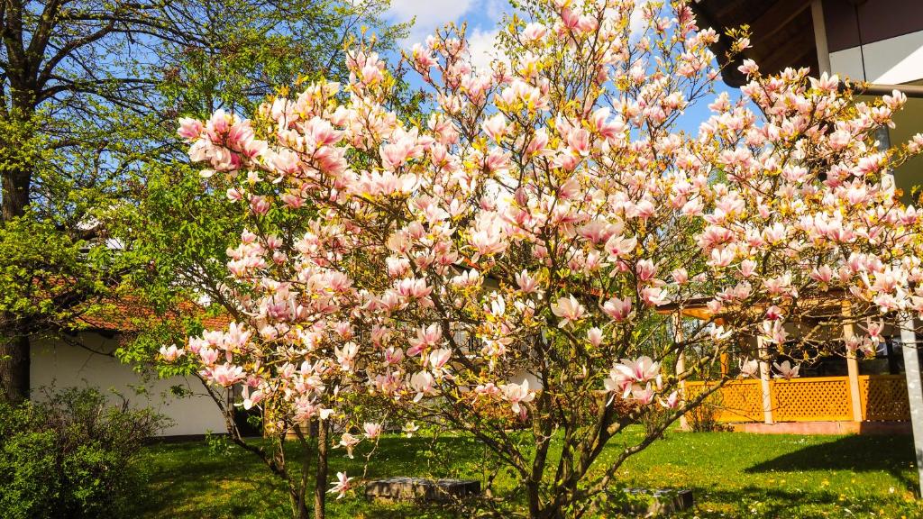 Hotel Am Moosfeld - Resim 36