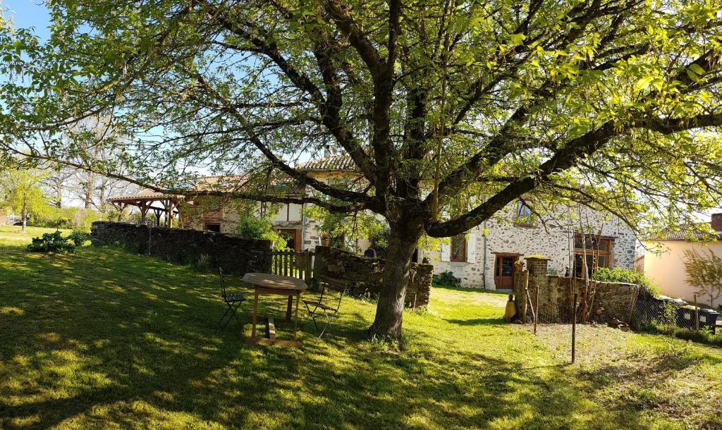 un tavolo da picnic sotto un albero in un cortile di La Fromagerie a Saint-Martin-le-Vieux