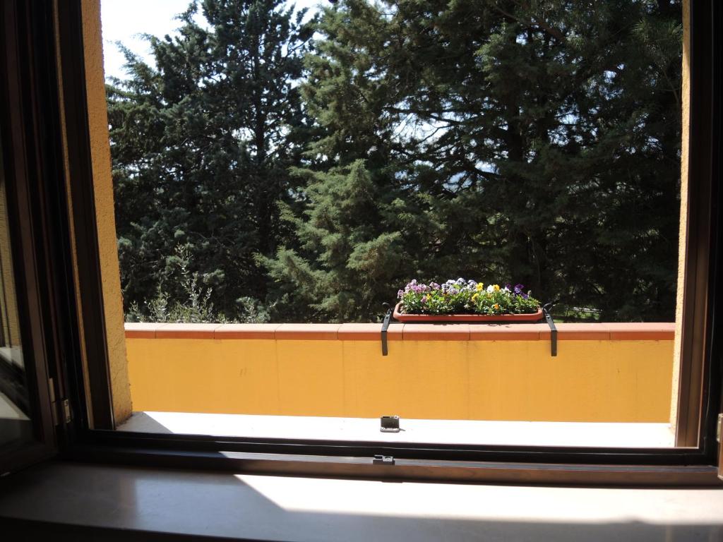 Agriturismo con cucina Il Favaio - 4