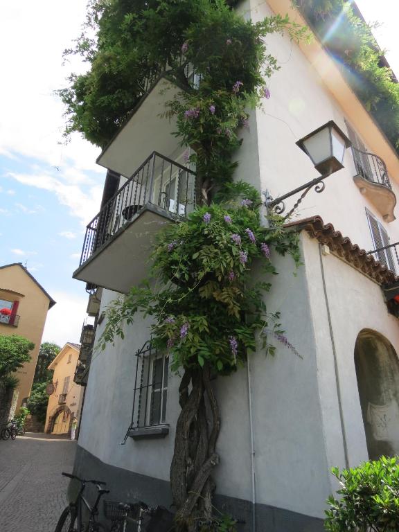 a building with flowers on the side of it at Hotel Arcadia in Ascona