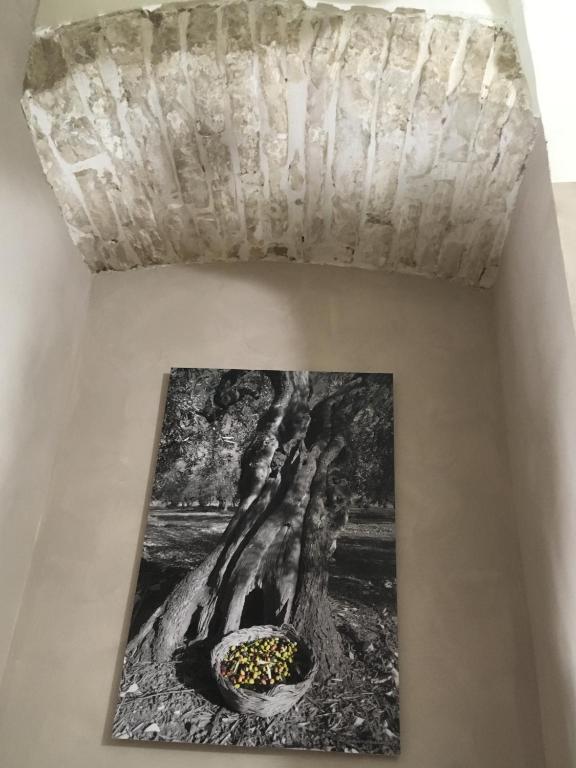 Zdjęcie z galerii obiektu B&B Casa Rubis w mieście Ruvo di Puglia