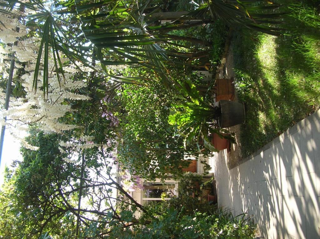 Zahrada ubytování b&b undici