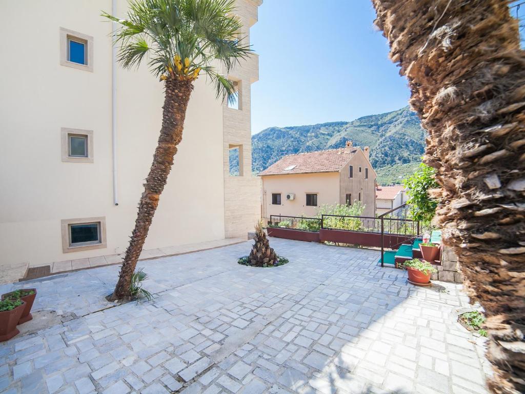 a courtyard with two palm trees and a building at Apartments Castello in Kotor