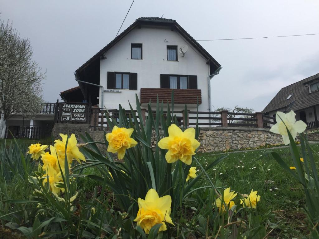 Vonkajšia záhrada v ubytovaní Guest House Aurora