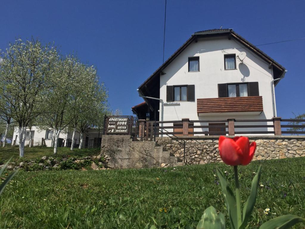 a red flower in front of a white house at Guest House Aurora in Poljanak