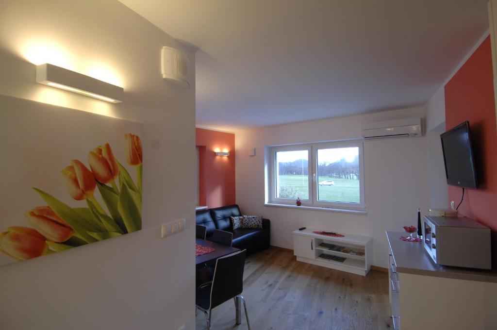 TV a/nebo společenská místnost v ubytování Apartments & Wellness Skok