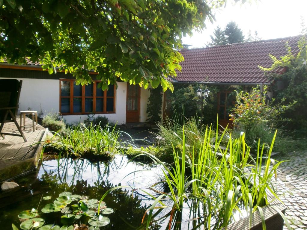 a garden with a pond in front of a house at Kastanienhof Alvern in Celle
