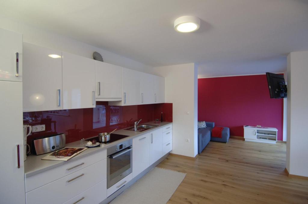 Kuchyň nebo kuchyňský kout v ubytování Apartments & Wellness Skok