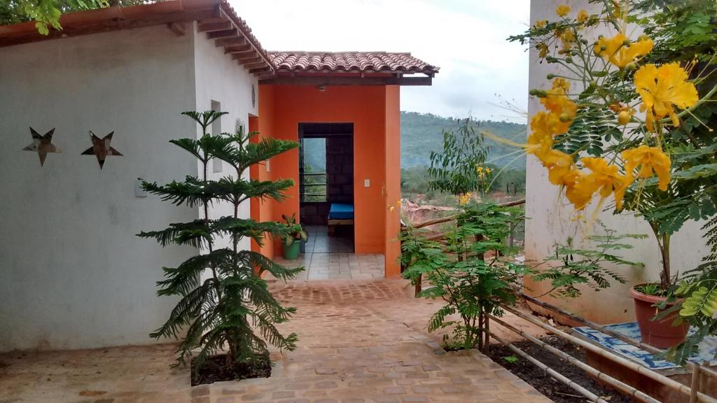  Beija- flor Lençóis