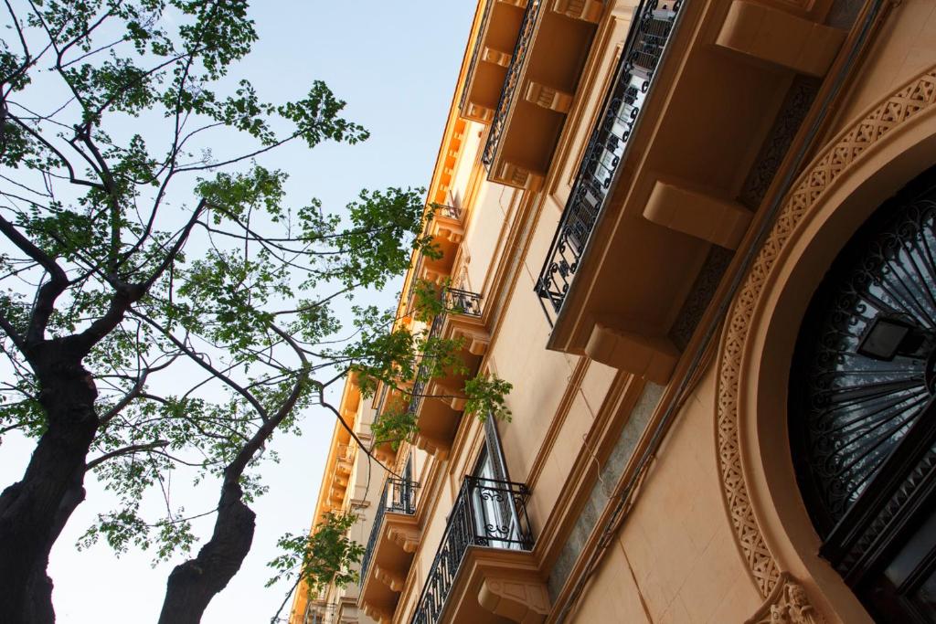 The building in which a panziókat is located