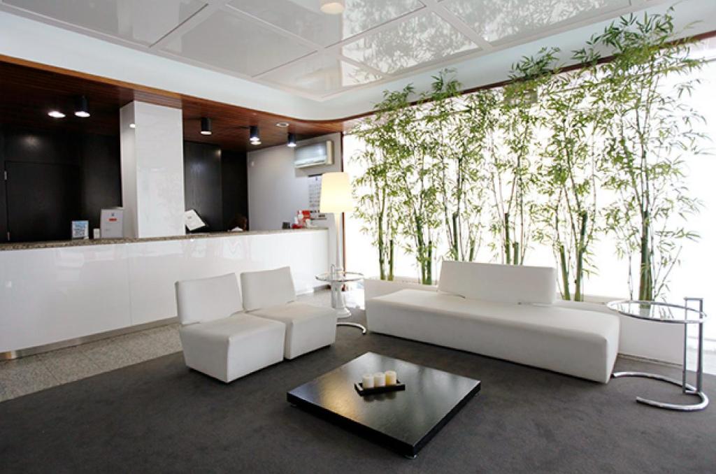 a living room with a white couch and trees on the wall at Hotel Costa de Prata 2 & Spa in Figueira da Foz