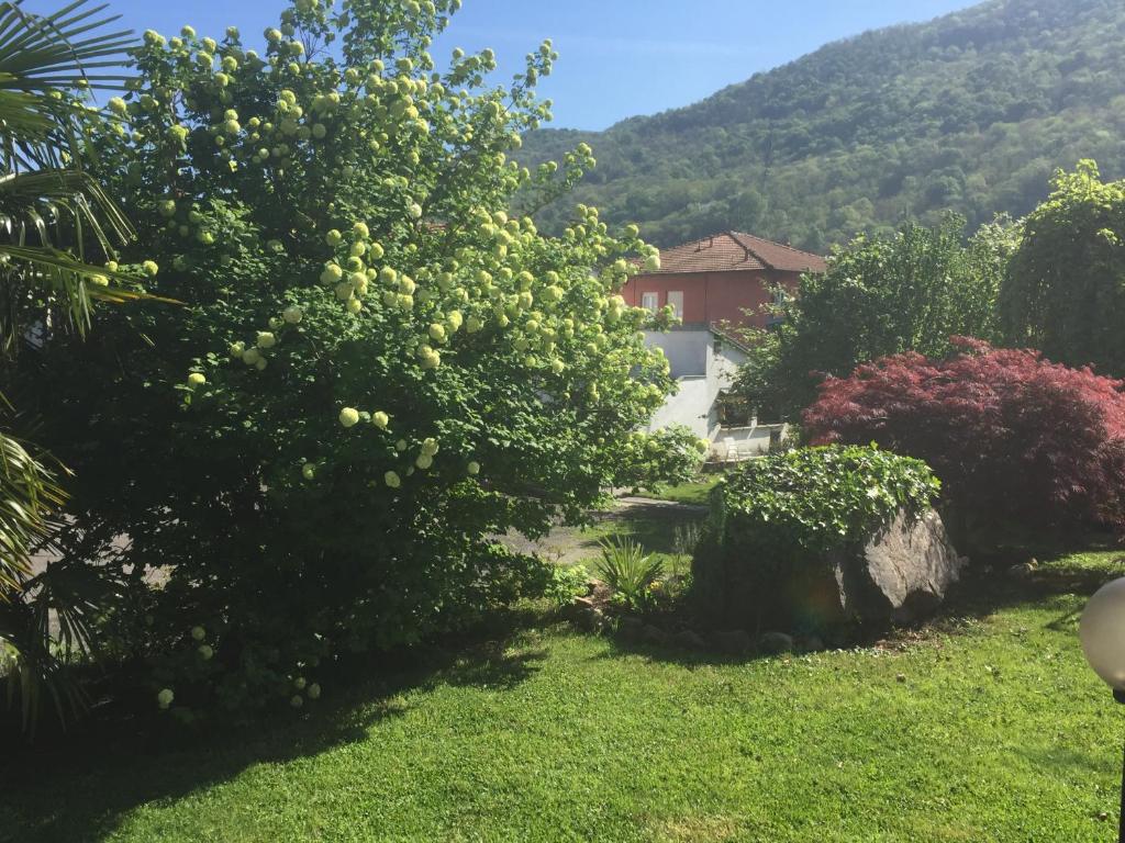 Nespecifikovaný výhled na hory nebo výhled na hory při pohledu z hotelu