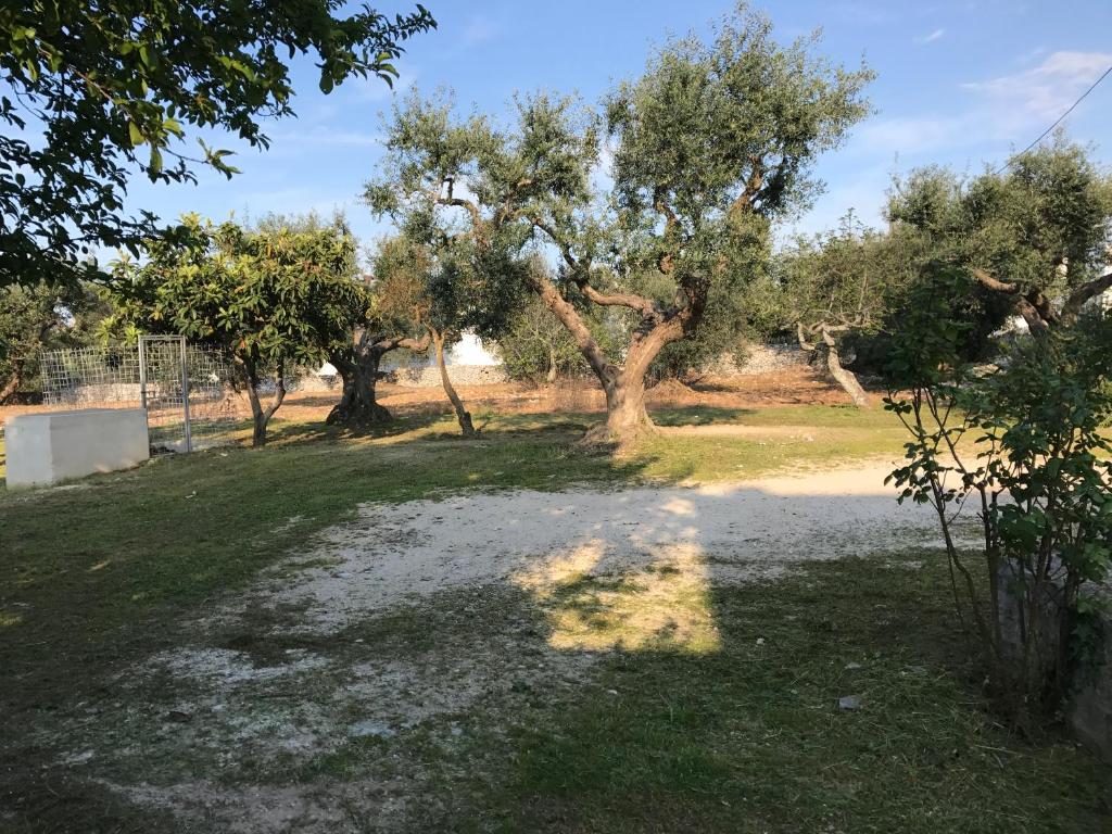 Vista ingrandita