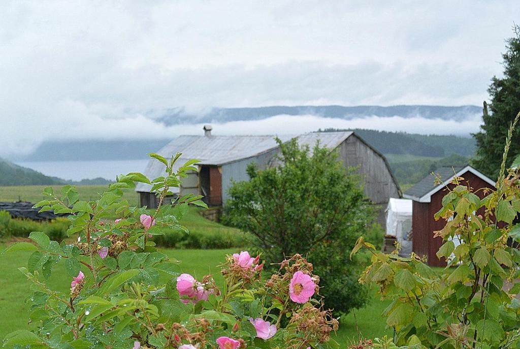 un granero en un campo con flores rosas en The Rustic House of the Fjord, en Sainte-Rose-du-Nord