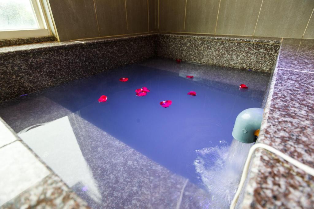 Fotografie z fotogalerie ubytování Da Pu Hotspring Hotel v destinaci Wanli