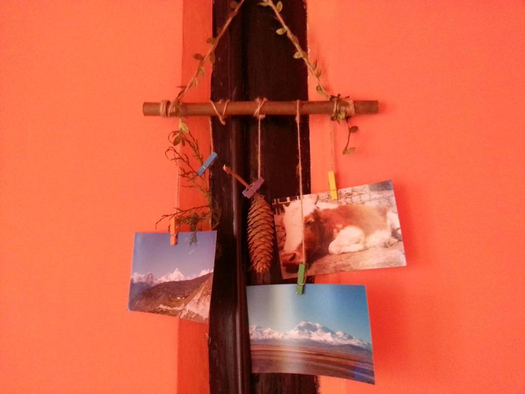 Fotografie z fotogalerie ubytování Kevin's Trekker Inn v destinaci Šangri-La