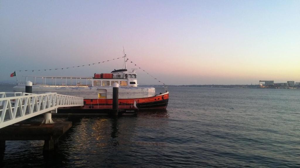 Snug Houseguests - 14