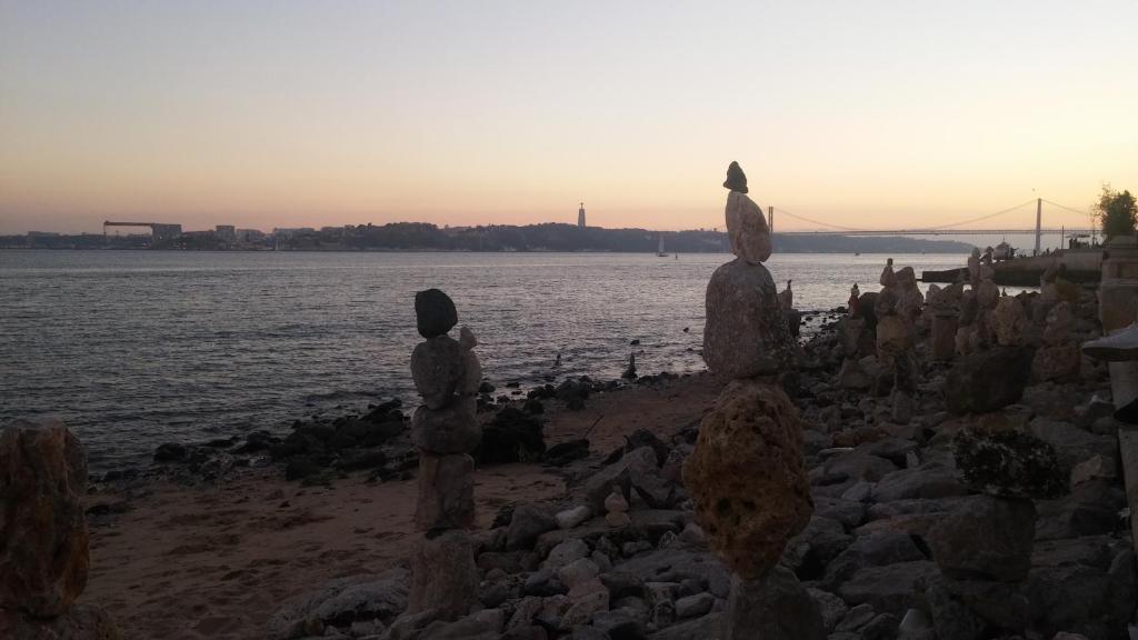 Snug Houseguests - 19