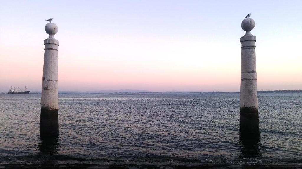 Snug Houseguests - 16