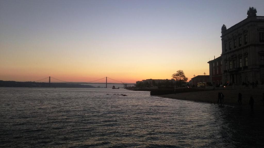 Snug Houseguests - 18