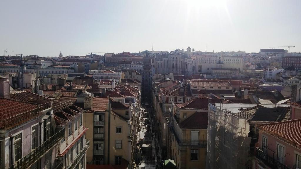 Snug Houseguests - 15